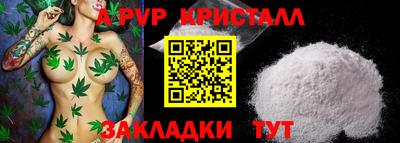 наркотики Кингисепп