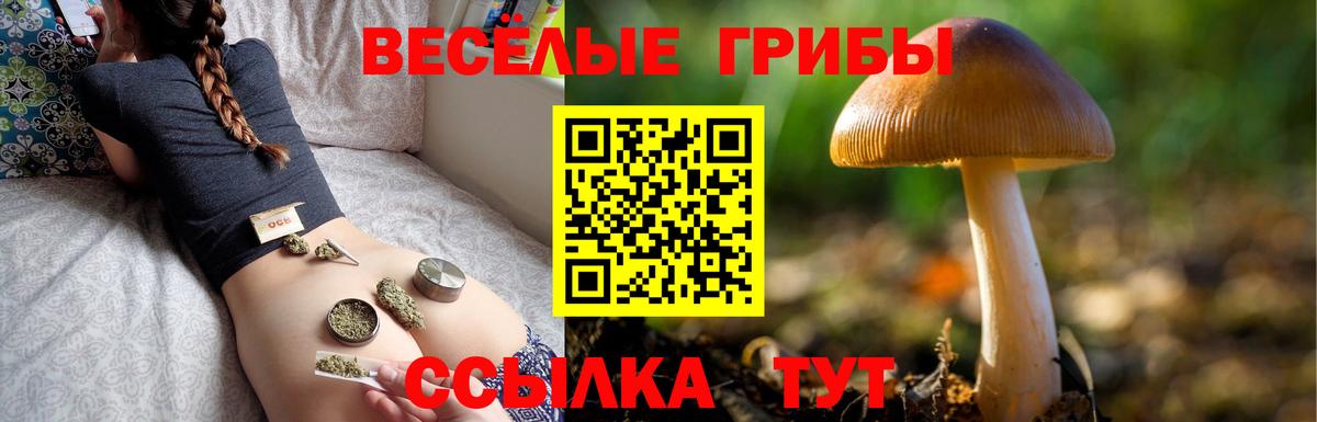 Галлюциногенные грибы ЛСД  Вход с VPN  Волхов 